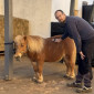 KuK am Ponyhof im April 2025