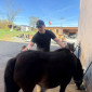 KuK am Ponyhof im April 2025
