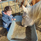 KuK am Ponyhof im April 2025
