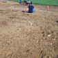 KuK am Ponyhof im April 2025