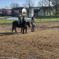 KuK am Ponyhof im April 2025