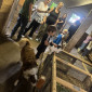 KuK im August - Ausflug auf den Bauernhof