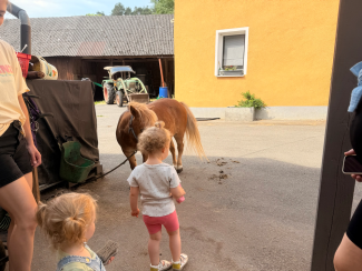 KuK auf dem Ponyhof