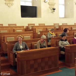 normalerweise tagt hier der Senat der tschechischen Republik